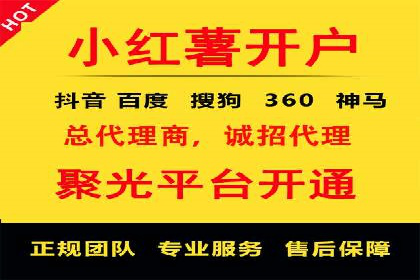 行业领先SEM服务公司案例研究